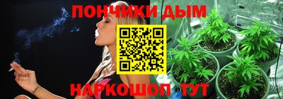 МДПВ Будённовск