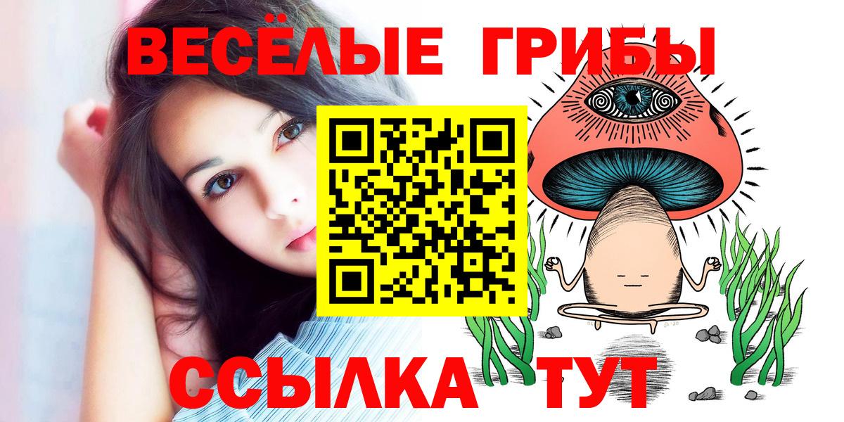 Галлюциногенные грибы прущие грибы  Псилоцибиновые грибы Cubensis  закладка  Ульяновск  Вход с VPN 